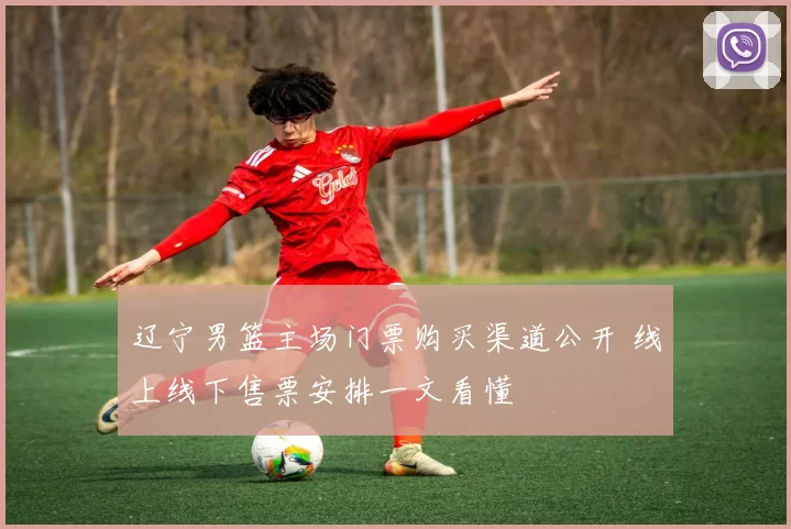 辽宁男篮主场门票购买渠道公开 线上线下售票安排一文看懂