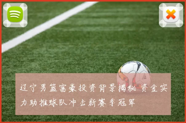 辽宁男篮富豪投资背景揭秘 资金实力助推球队冲击新赛季冠军
