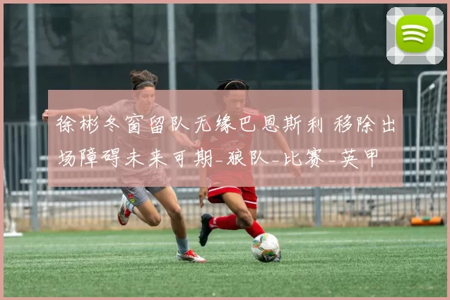 徐彬冬窗留队无缘巴恩斯利 移除出场障碍未来可期_狼队_比赛_英甲