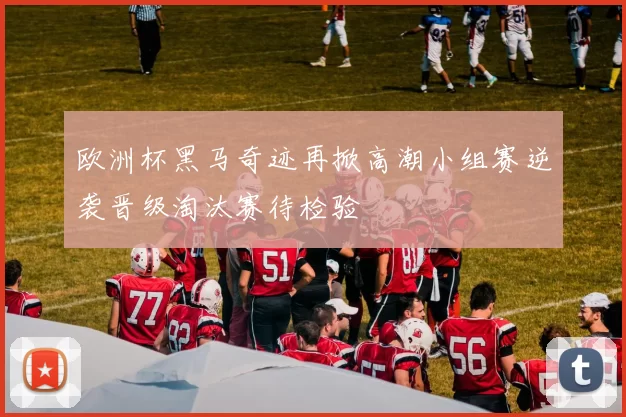 欧洲杯黑马奇迹再掀高潮小组赛逆袭晋级淘汰赛待检验
