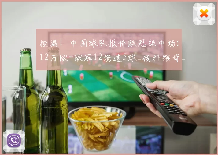 捡漏！中国球队报价欧冠级中场：12万欧+欧冠12场造5球_扬科维奇_卡拉巴赫_欧元