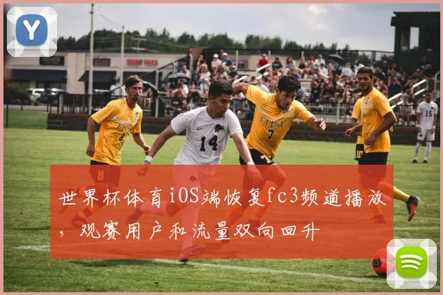 世界杯体育iOS端恢复fc3频道播放，观赛用户和流量双向回升