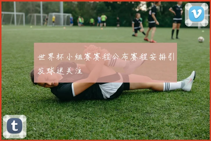 世界杯小组赛赛程公布赛程安排引发球迷关注