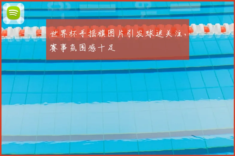 世界杯手摇旗图片引发球迷关注，赛事氛围感十足